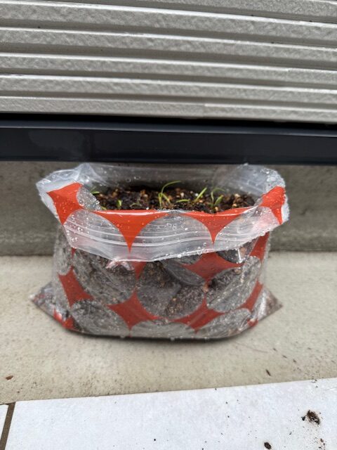 ジップロック容器