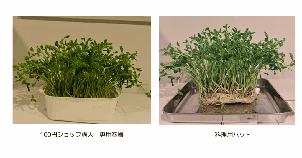 専用容器、バット